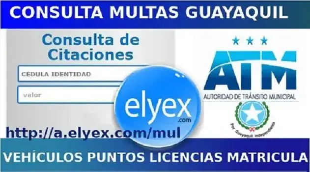 consulta multas tránsito ecuador ant