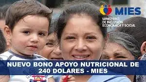 Nuevo Bono Apoyo Nutricional de 240 dolares – MIES