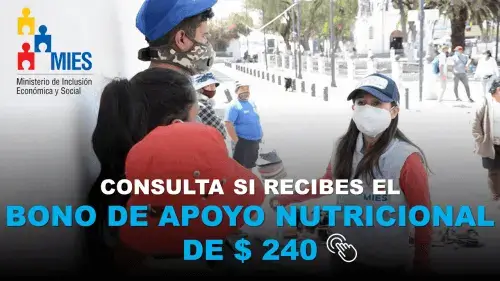 Consultar Bono de Apoyo Nutricional Ecuador