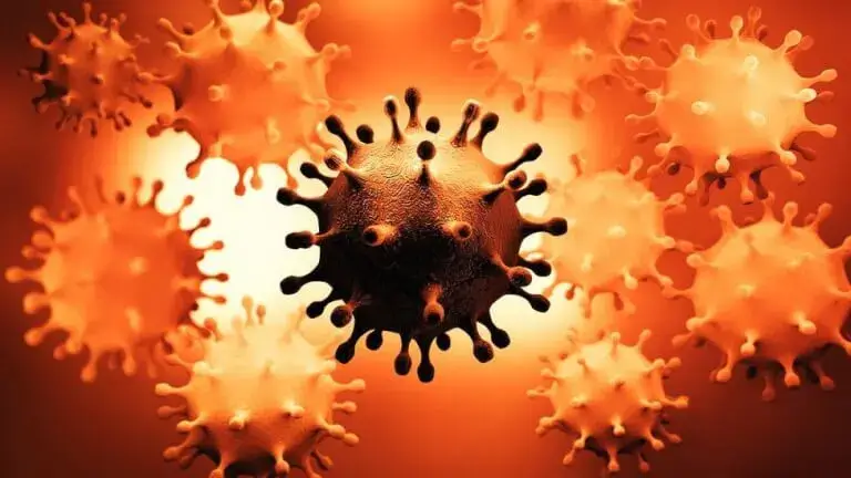 variantes de los países coronavirus