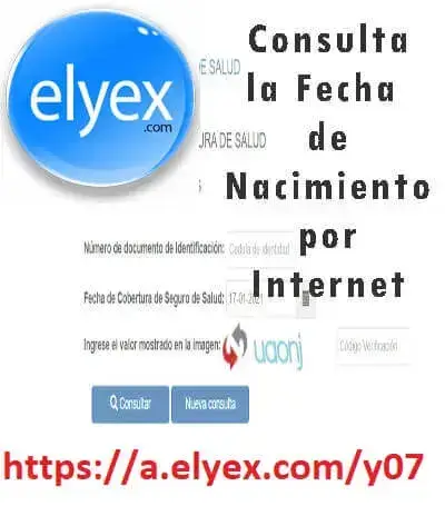 Consulta la Fecha de Nacimiento por Internet