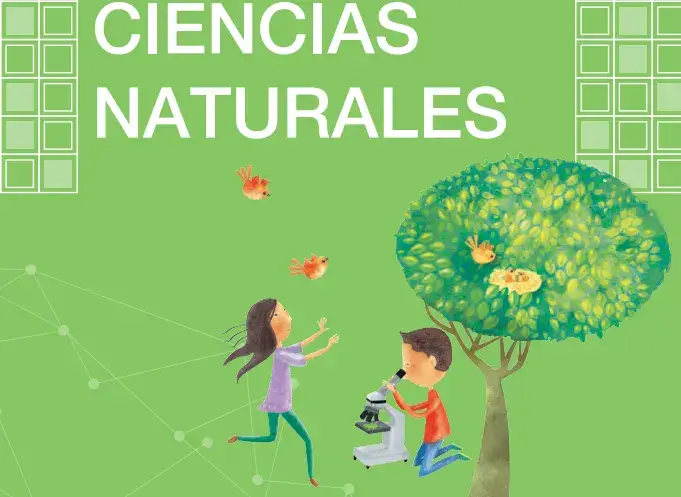 Libro De Ciencias Naturales 1 2 3 4 5 6 7 8 9 Y 10 Egb 2024 Ecu11