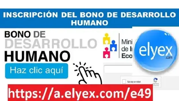 bono desarrollo humano ecuador consulta