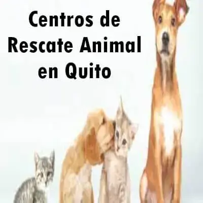 Centros de rescate animal en Quito
