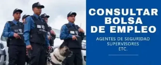 consultar bolsa empleo línea