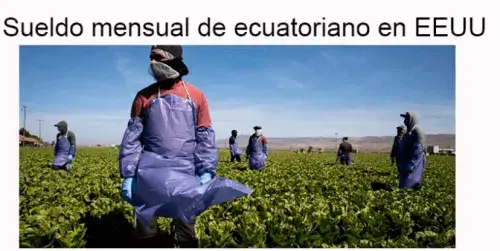 Sueldo mensual de ecuatoriano en EEUU