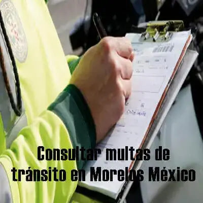 consultar multas transito morelos mexico