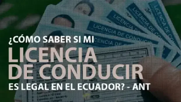 licencia conducir legal consultar ant