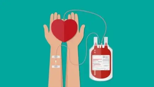 Pasos y Requisitos para donar sangre en España