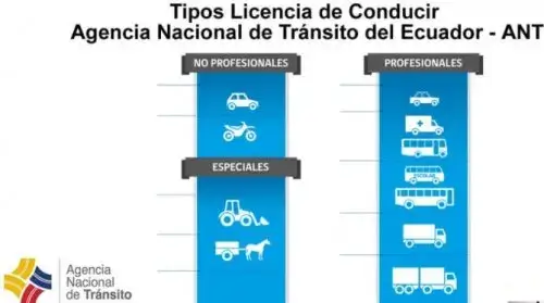 ¿Qué tipos de Licencia de Conducir existen en Ecuador?