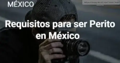Requisitos para ser Perito en México