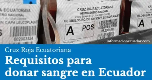 Requisitos para donar sangre en Ecuador (Cruz Roja)
