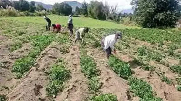 trabajo españa temporada ecuatorianos