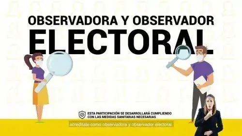 Requisitos para ser observador electoral
