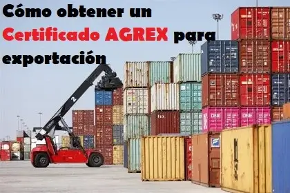 Cómo obtener un Certificado AGREX para exportación
