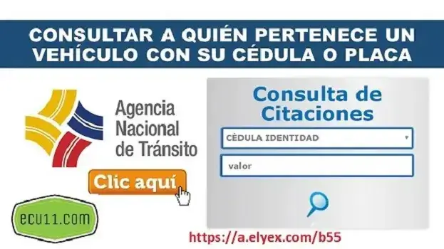Consultar a quién Pertenece Vehículo ANT Ecuador SRI Dueño