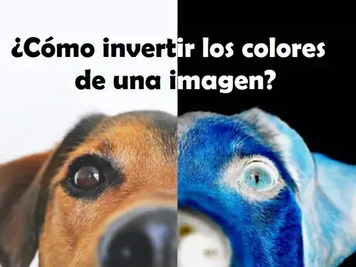 Cómo invertir colores de una imagen