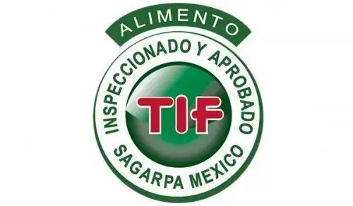 Certificado Tif en México requisitos y pasos