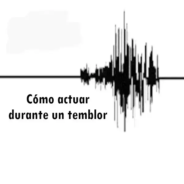 Cómo actuar durante un temblor