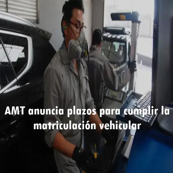 AMT anuncia plazos para cumplir la matriculación vehicular