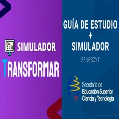 simulador examen