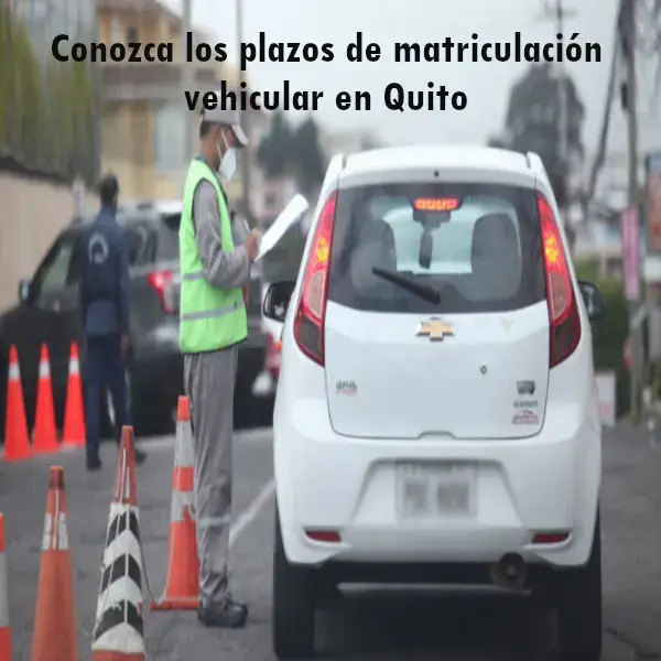 Conozca los plazos de matriculación vehicular en Quito