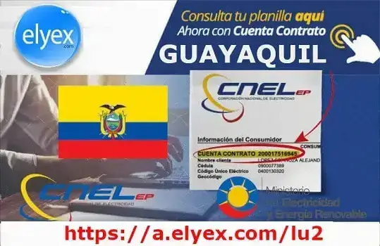 consulta planilla guayaquil contrato