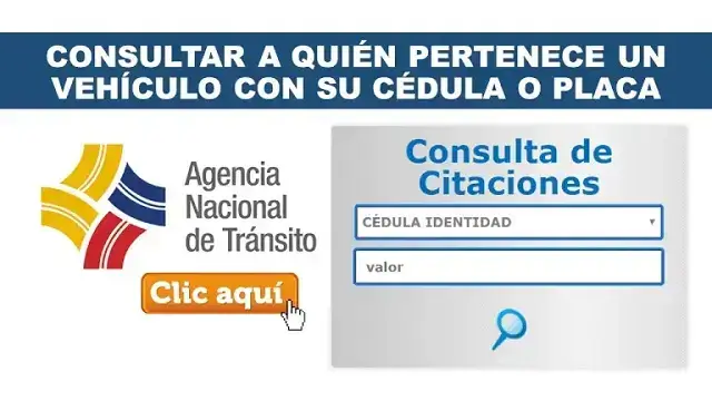 consulta quien pertenece vehiculo cedula placa