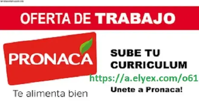 oferta trabajo sube curriculum