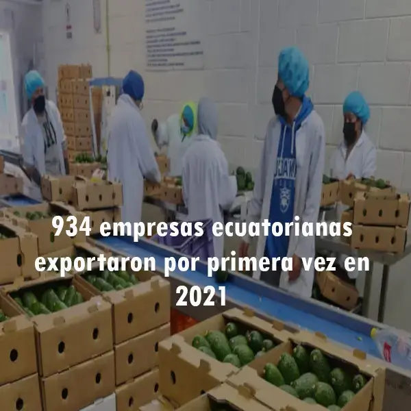 Empresas ecuatorianas exportaron por primera vez