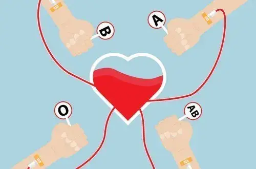 Requisitos Para Donar Sangre En Panamá
