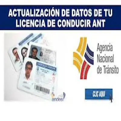 actualización de dato en tu licencia