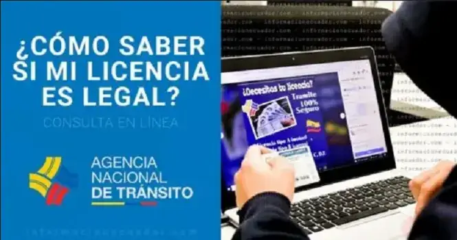 como saber licencia legal consulta