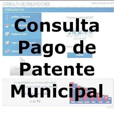 consulta pago patente municipal quito linea
