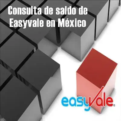 consulta saldo easyvale méxico