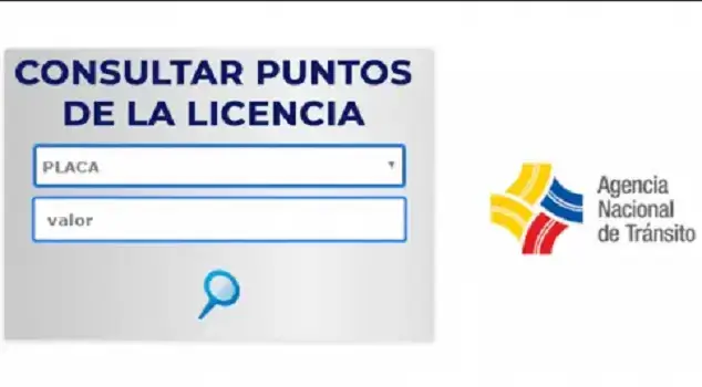 consultar puntos licencia conducir ant