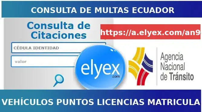 consultar puntos licencia conducir ecuador