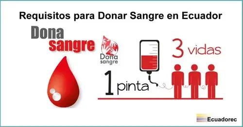 Donar sangre en la Cruz Roja Ecuatoriana