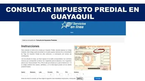 Consulta del impuesto predial Guayaquil