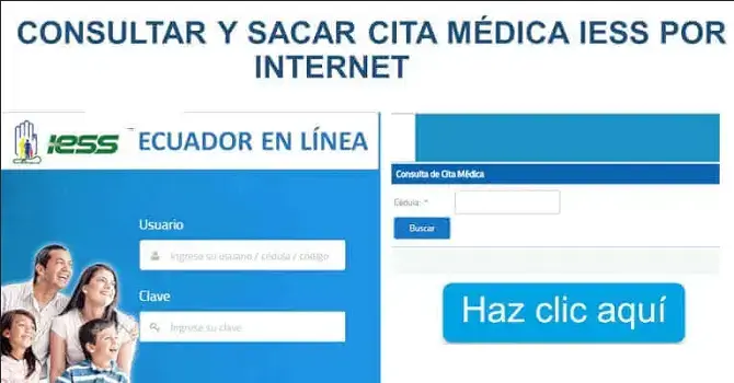 sacar citas para iess internet