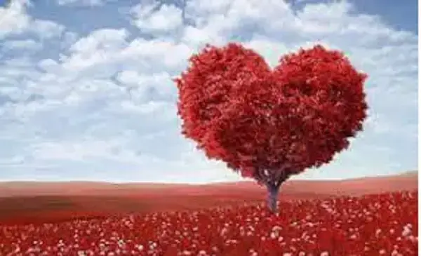 7 ideas para que tu Día de los Enamorados sea muy especial