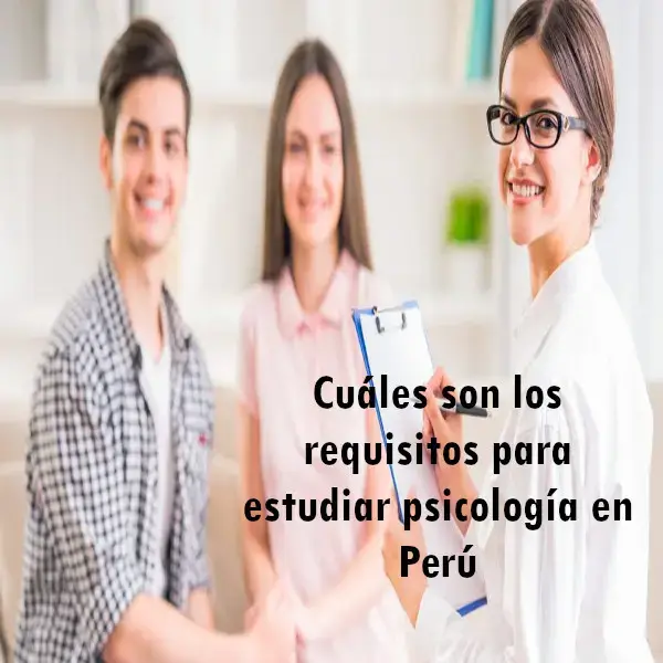 Cuáles son los requisitos para estudiar psicología en Perú