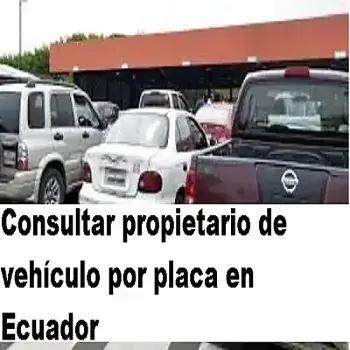 consulta propietario vehículo placa