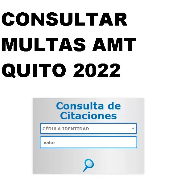 consultar multas amt quito linea