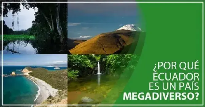 ecuador país mega diverso flora fauna