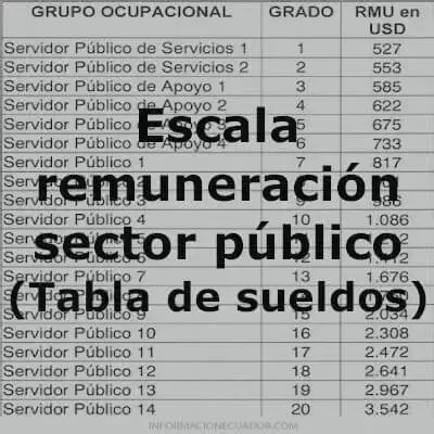 escala remuneracion sector publico