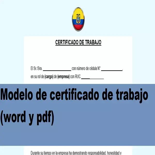 modelo certificado trabajo pdf