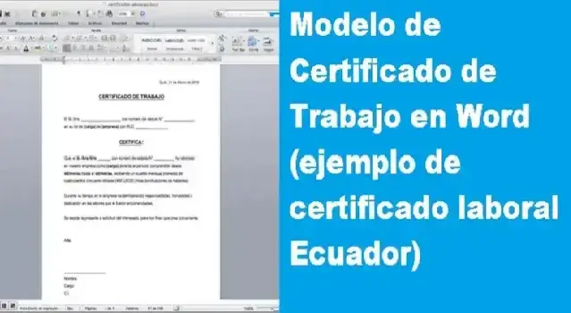 modelo certificado trabajo word