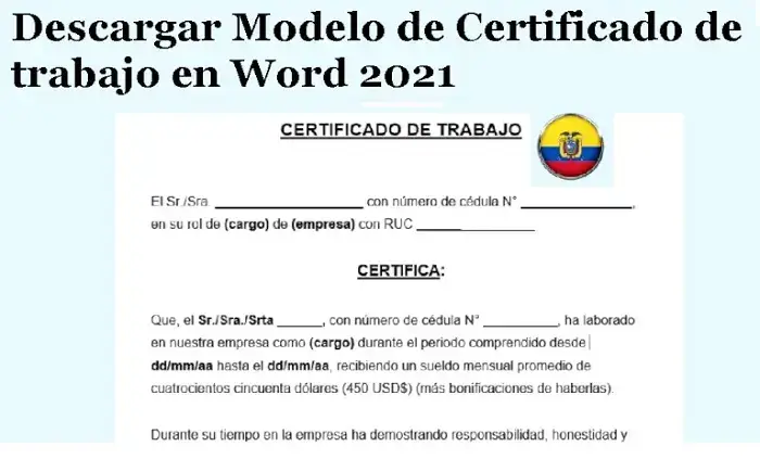 modelo certificado trabajo word