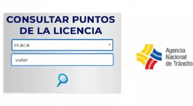 puntos licencia consultar ecuador